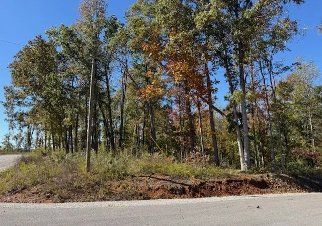 3rd image of 9599 Medlin Rd, Baxter, TN 38544 | MLS# 3515019