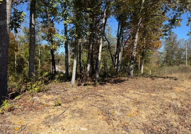 4th image of 9599 Medlin Rd, Baxter, TN 38544 | MLS# 3515019