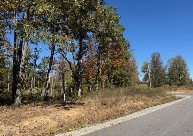 5th image of 9599 Medlin Rd, Baxter, TN 38544 | MLS# 3515019