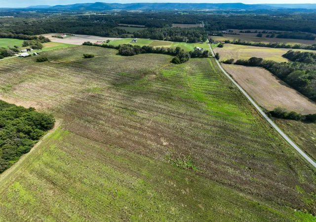 1st image of 1 Newt Vanattia Rd, Hillsboro, TN 37342 | MLS# 3515032