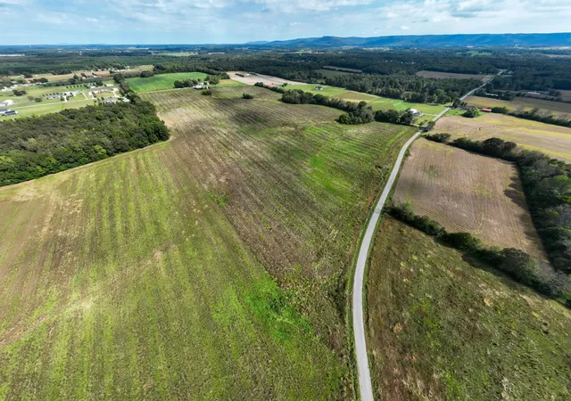 3rd image of 1 Newt Vanattia Rd, Hillsboro, TN 37342 | MLS# 3515032
