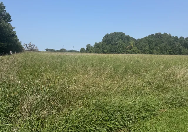 1st image of 0 Bobbitt Rd, Medina, TN 38355 | MLS# 3515069
