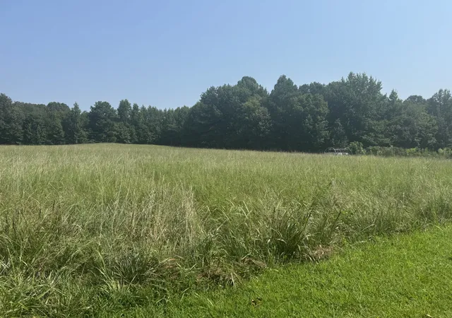 3rd image of 0 Bobbitt Rd, Medina, TN 38355 | MLS# 3515069