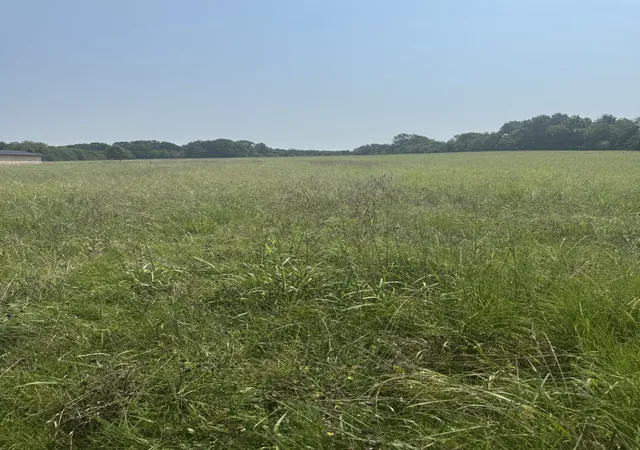 4th image of 0 Bobbitt Rd, Medina, TN 38355 | MLS# 3515069