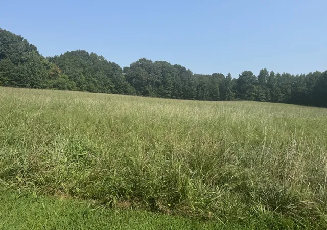 5th image of 0 Bobbitt Rd, Medina, TN 38355 | MLS# 3515069
