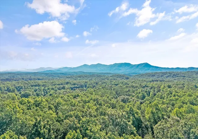 4th image of 575 Ironsburg Rd, Tellico Plains, TN 37385 | MLS# 3515125