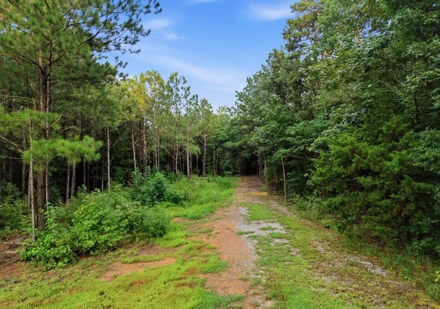 12th image of 0 Washboard Road, Old Fort, TN 37362 | MLS# 3515096