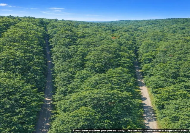 4th image of 0 Bear Road, Tallassee, TN 37878 | MLS# 3515148