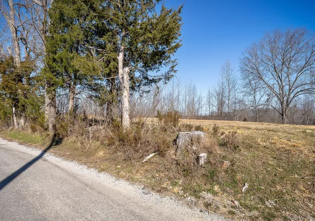 Photo 13 of Land for sale at 0 Backbone Rd, Smithville, TN 37166 | MLS# 3515340 | Listing updated on 2026-08-19