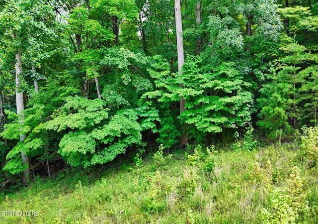 60th image of 4 Imperial Dr, Ooltewah, TN 37363 | MLS# 3515162