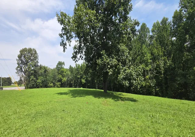 54th image of 251 Tisdale Dr, Smithville, TN 37166 | MLS# 3516066