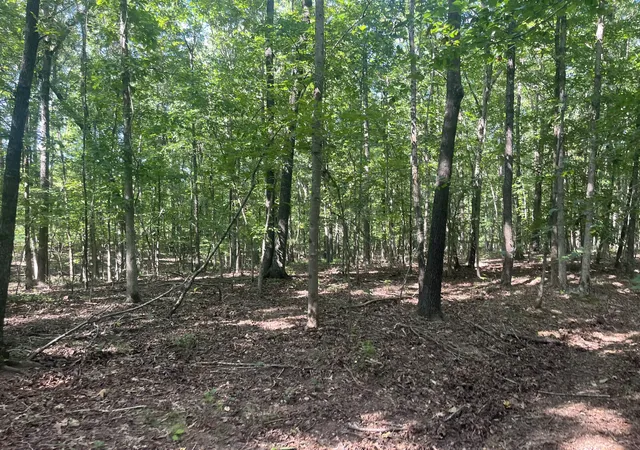 Photo 2 of Sale Pending at 0 Scott Ln, Iron City, TN 38463 | MLS# 3515288 | Listing updated on 2026-08-21
