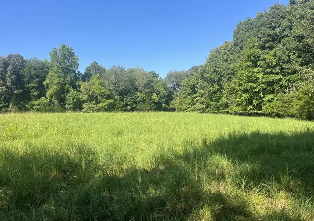 Photo 3 of Sale Pending at 0 Scott Ln, Iron City, TN 38463 | MLS# 3515288 | Listing updated on 2026-08-21