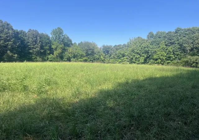Photo 3 of Sale Pending at 0 Scott Ln, Iron City, TN 38463 | MLS# 3515288 | Listing updated on 2026-08-21