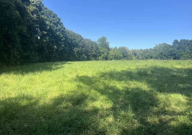 Photo 4 of Sale Pending at 0 Scott Ln, Iron City, TN 38463 | MLS# 3515288 | Listing updated on 2026-08-21