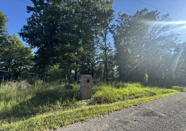 Photo 3 of Land for sale at 175 Fern Springs Rd, Hohenwald, TN 38462 | MLS# 3515955 | Listing updated on 2026-08-20