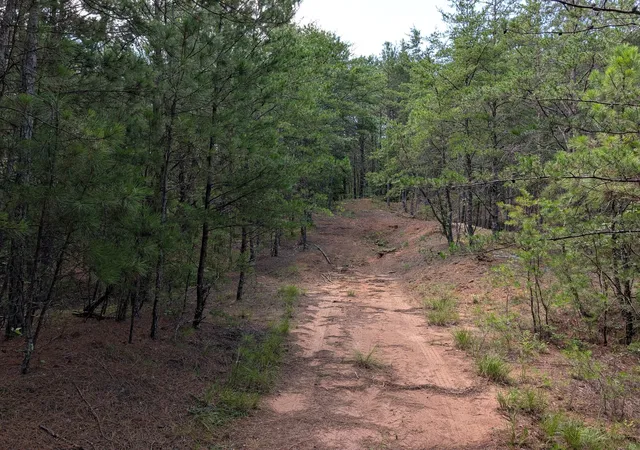 2nd image of 0 Belltown Road, Copperhill, TN 37317 | MLS# 3515968