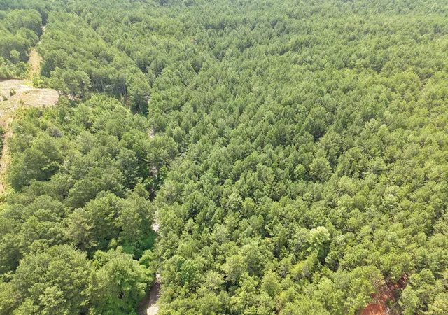 5th image of 0 Belltown Road, Copperhill, TN 37317 | MLS# 3515968