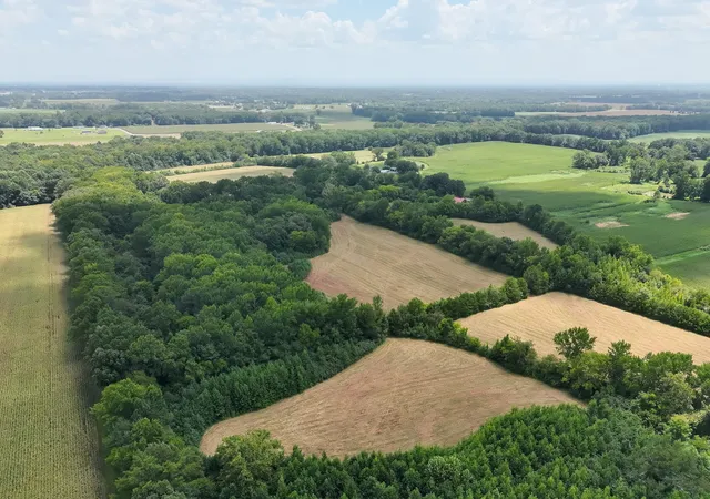 13th image of 197 Childress Rd, Fayetteville, TN 37334 | MLS# 3516136