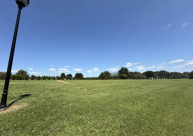 5th image of 0 Boro Circle, Hillsboro, TN 37342 | MLS# 3516147