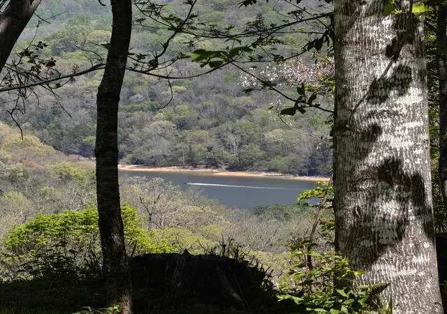 Photo 1 of Land for sale at 0 Vl Wilson, Smithville, TN 37166 | MLS# 3516139 | Listing updated on 2026-08-30