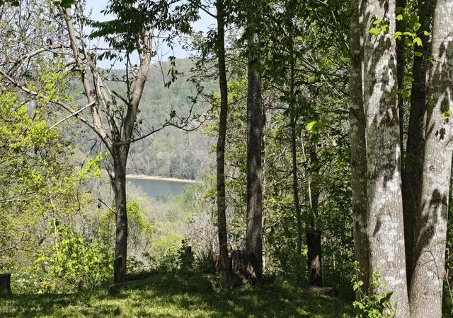 Photo 2 of Land for sale at 0 Vl Wilson, Smithville, TN 37166 | MLS# 3516139 | Listing updated on 2026-08-30