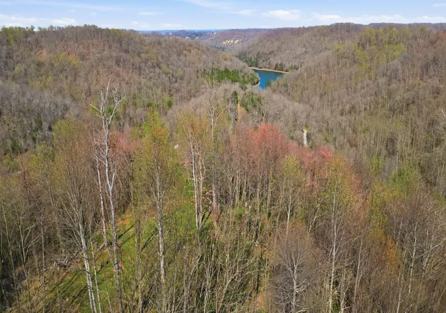 Photo 3 of Land for sale at 0 Vl Wilson, Smithville, TN 37166 | MLS# 3516139 | Listing updated on 2026-08-30