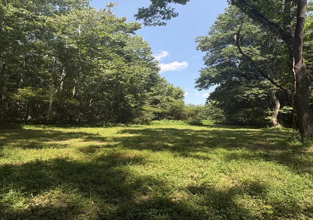 37th image of 635 Houston Fielder Rd, Clarksville, TN 37043 | MLS# 3516199