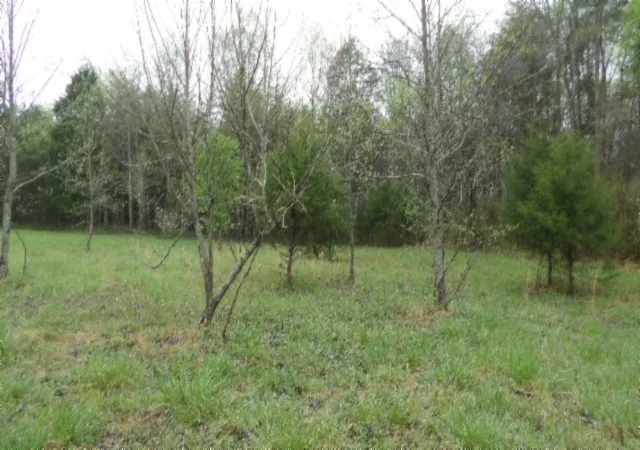 3rd image of 0 Denton Rd, Moss, TN 38575 | MLS# 3516172