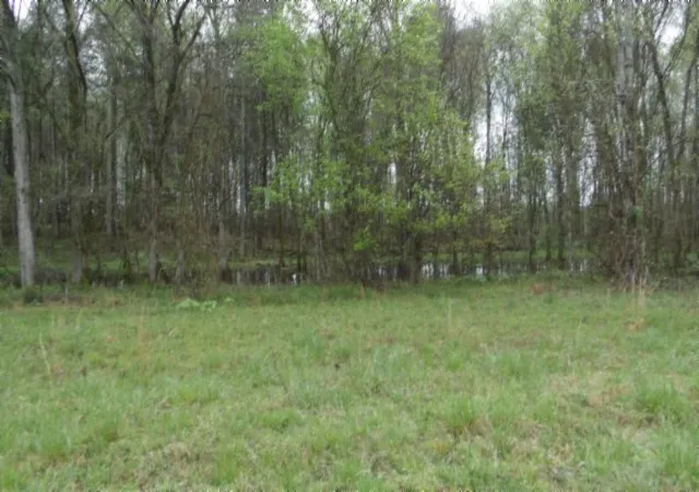 4th image of 0 Denton Rd, Moss, TN 38575 | MLS# 3516172