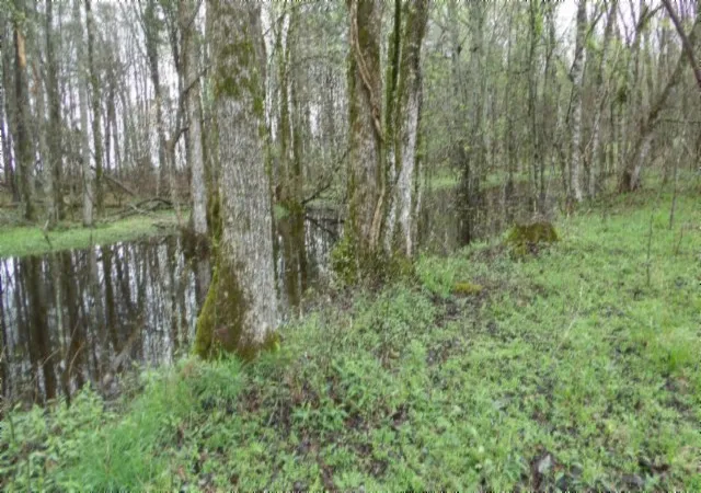5th image of 0 Denton Rd, Moss, TN 38575 | MLS# 3516172