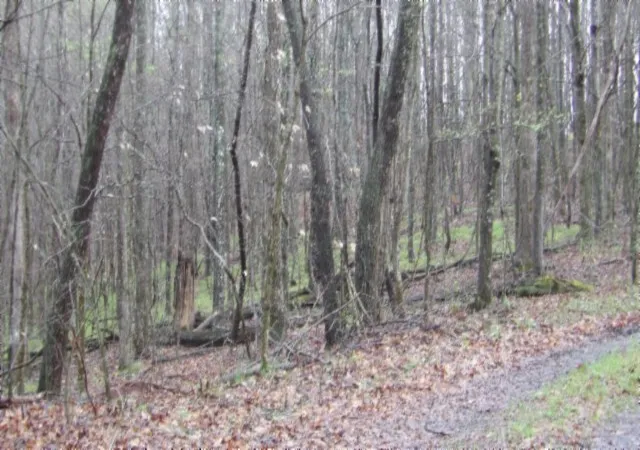 75th image of 0 Denton Rd, Moss, TN 38575 | MLS# 3516172