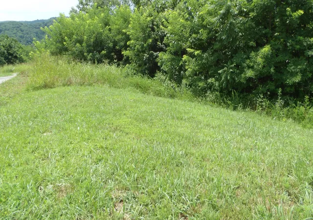 1st image of 17 D Crappie Lane, Hilham, TN 38568 | MLS# 3516189