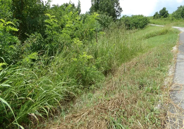2nd image of 17 D Crappie Lane, Hilham, TN 38568 | MLS# 3516189