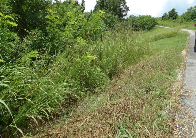 Photo 3 of Land for sale at 17 D Crappie Ln, Hilham, TN 38568 | MLS# 3516189 | Listing updated on 2026-08-19