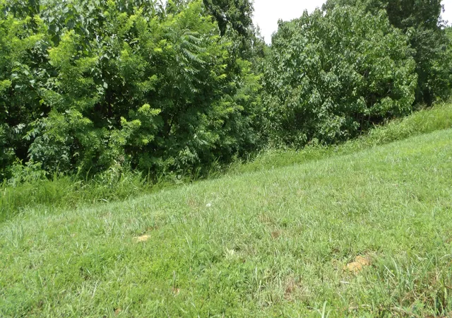 Photo 3 of Land for sale at 17 D Crappie Ln, Hilham, TN 38568 | MLS# 3516189 | Listing updated on 2026-08-19