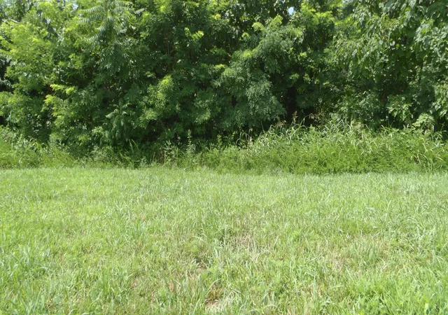 Photo 4 of Land for sale at 17 D Crappie Ln, Hilham, TN 38568 | MLS# 3516189 | Listing updated on 2026-08-19