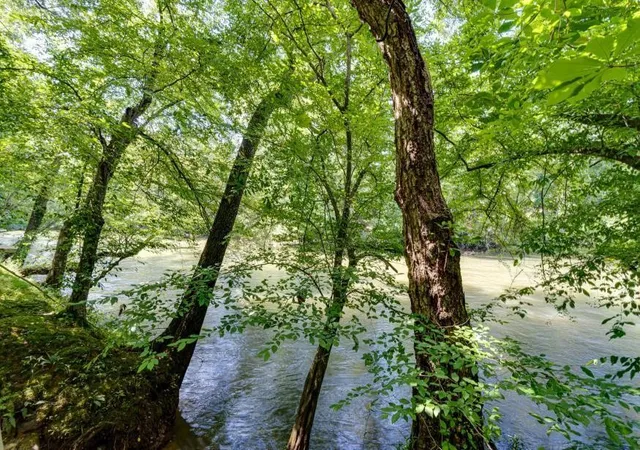Photo 3 of Land for sale at 160 Tree Frog Ln, Benton, TN 37307 | MLS# 3595897 | Listing updated on 2026-10-01