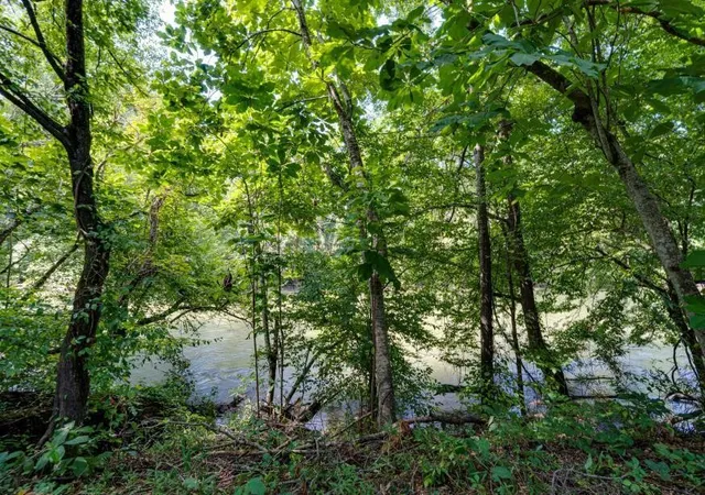 Photo 4 of Land for sale at 160 Tree Frog Ln, Benton, TN 37307 | MLS# 3595897 | Listing updated on 2026-10-01