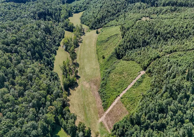 Land for sale at 0 Clifton Turnpike, Waynesboro, TN 38485 | MLS# 3516252