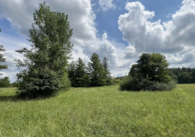 26th image of 0 Martin Road, Portland, TN 37148 | MLS# 3516232
