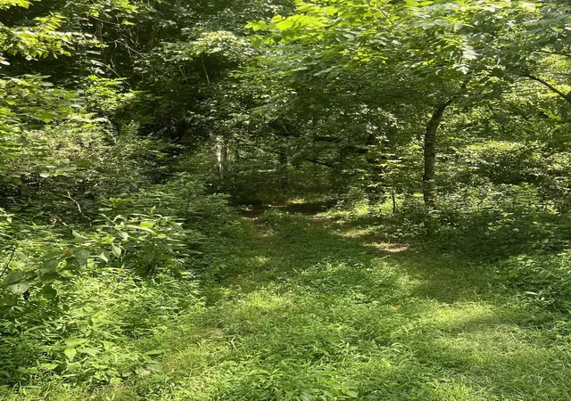 3rd image of 0 Martin Road, Portland, TN 37148 | MLS# 3516232