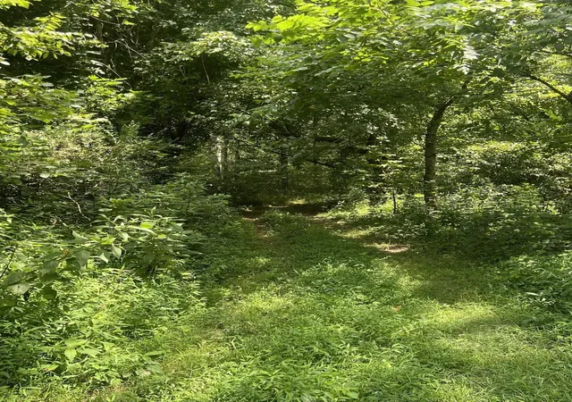 3rd image of 0 N Corinth Rd, Portland, TN 37148 | MLS# 3516236