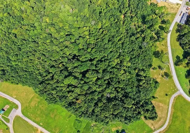 10th image of 0c Swan Ridge, Hilham, TN 38568 | MLS# 3516269