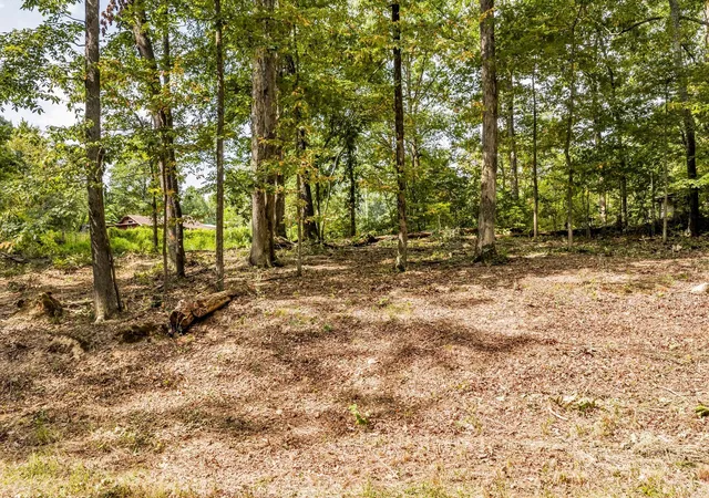 22nd image of 0 Garton Rd, Burns, TN 37029 | MLS# 3520327