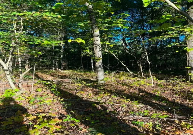 Photo 2 of Land for sale at 196 Woodstock Dr, Rutledge, TN 37861 | MLS# 3518780 | Listing updated on 2026-08-20
