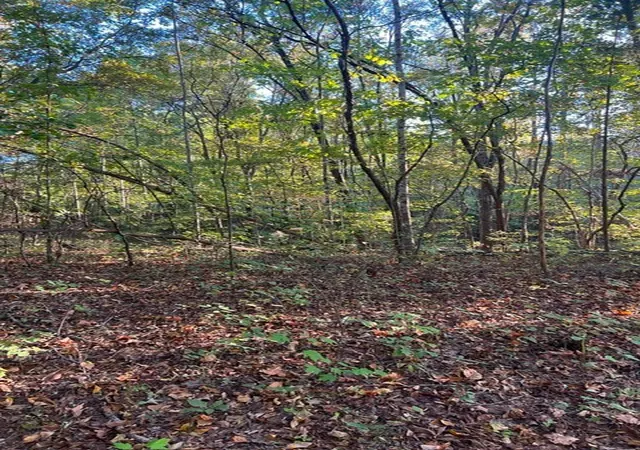 Photo 2 of Land for sale at 196 Woodstock Dr, Rutledge, TN 37861 | MLS# 3518780 | Listing updated on 2026-08-20