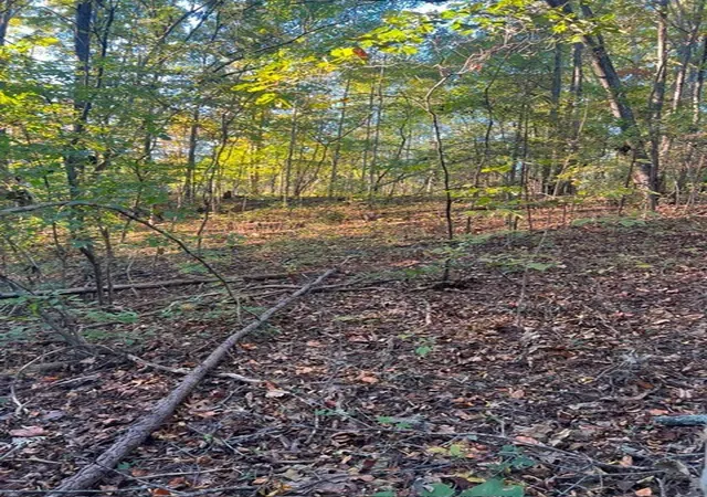 Photo 3 of Land for sale at 196 Woodstock Dr, Rutledge, TN 37861 | MLS# 3518780 | Listing updated on 2026-08-20
