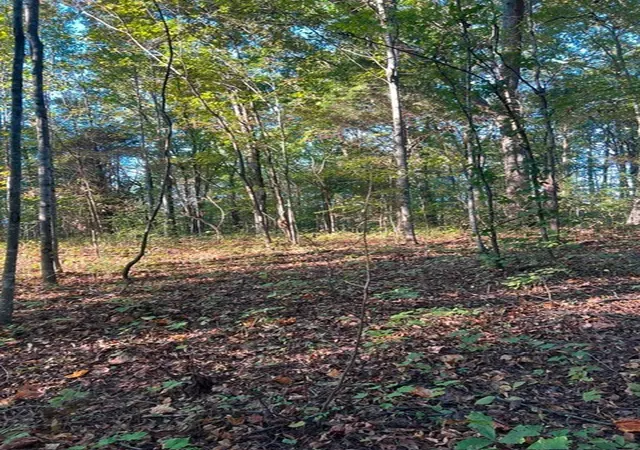 Photo 7 of Land for sale at 196 Woodstock Dr, Rutledge, TN 37861 | MLS# 3518780 | Listing updated on 2026-08-20