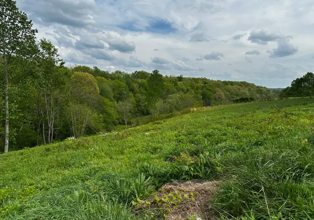 1st image of 188 Martin Ln, Normandy, TN 37360 | MLS# 3518856